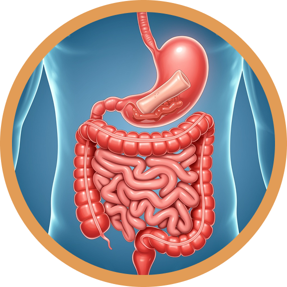 Obesity Treatment